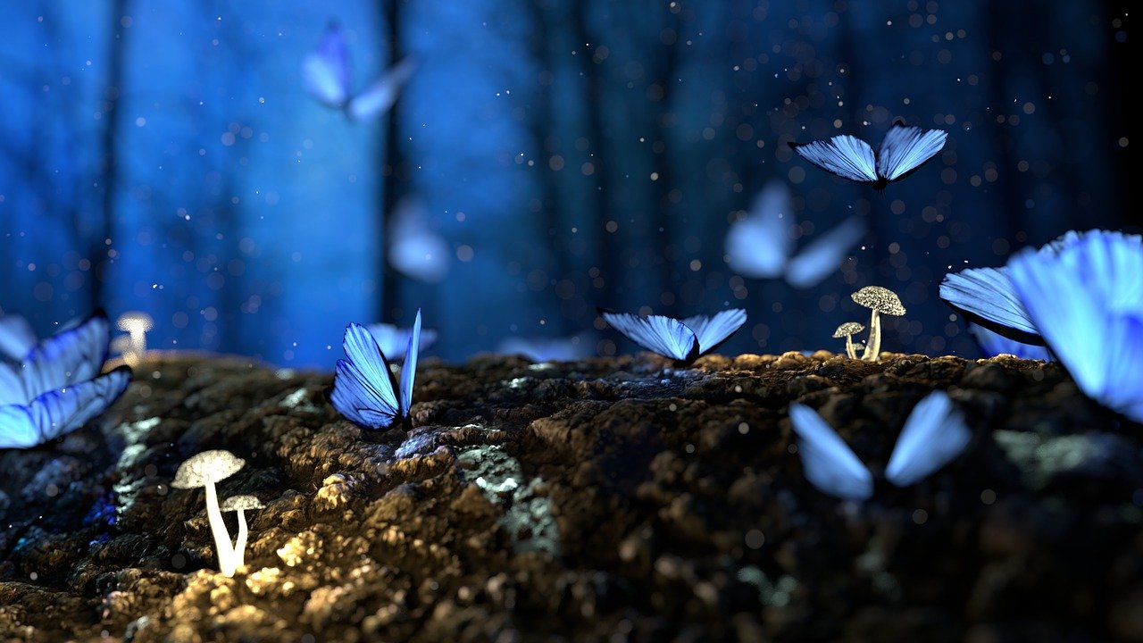 butterfly, blue, forest